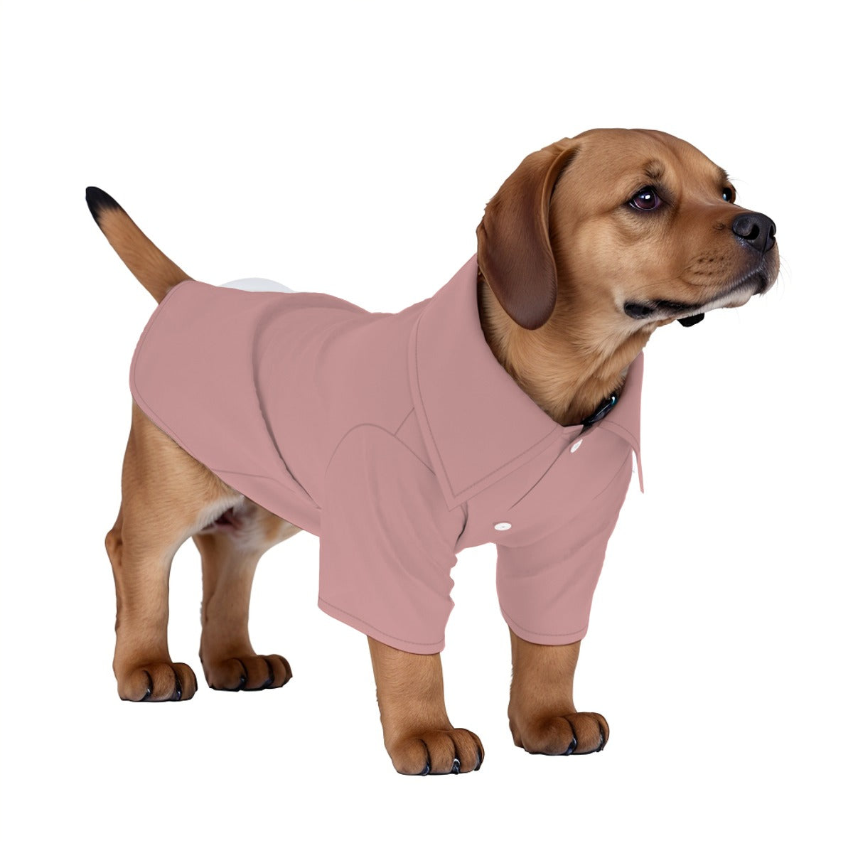 All-Over Print Pet’s Hawaiian Shirt