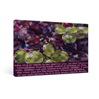 Bare Good Fruit Framed Single-Piece Mural Printed in USA 3:2