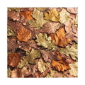 Autumn Leaves Fall Colors Tablecloth